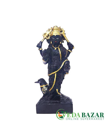 copy of 